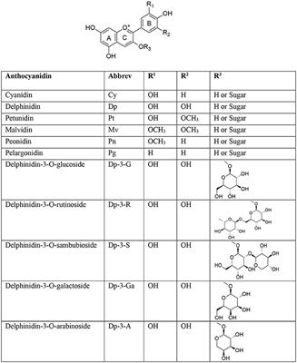 Chemistry and Pharmacological Actions of Delphinidin, a Dietary Purple Pigment in Anthocyanidin and Anthocyanin Forms